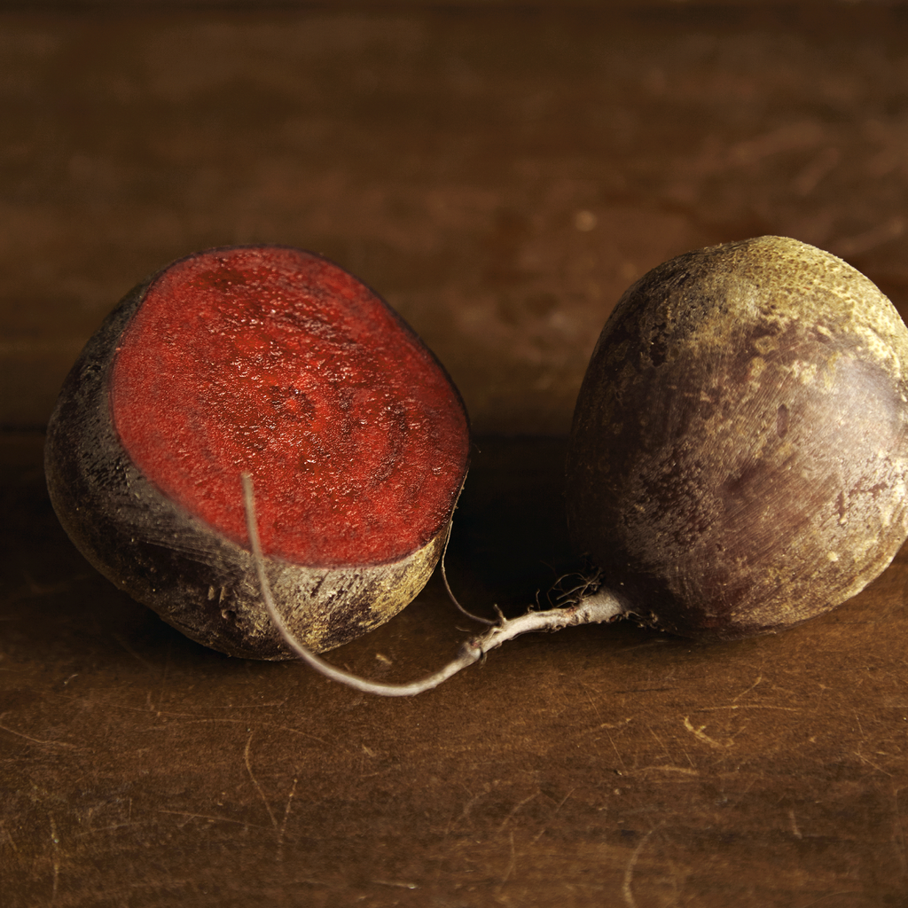 Robin Beet (Beta vulgaris)