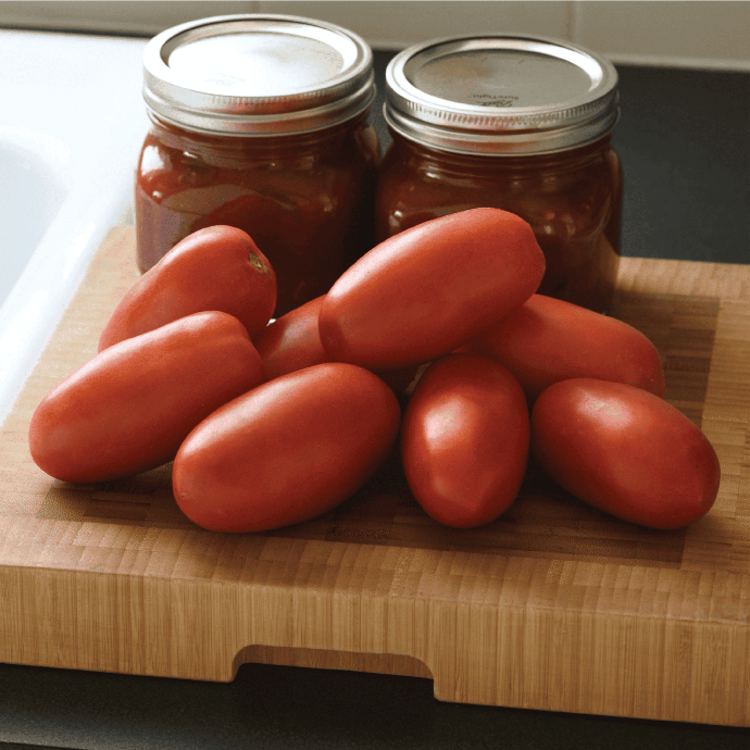Tomate Rio Grande (Solanum lycopersicum)
