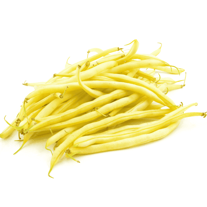 Haricot nain Gold Rush (Phaseolus vulgaris)
