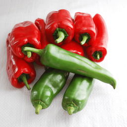 [160] Espelette pepper (Gorria) (Capsicum annuum)