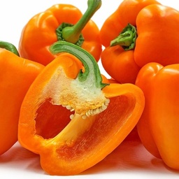 [228] Ariane pepper (Capsicum anuum)
